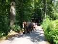 Drachenburg